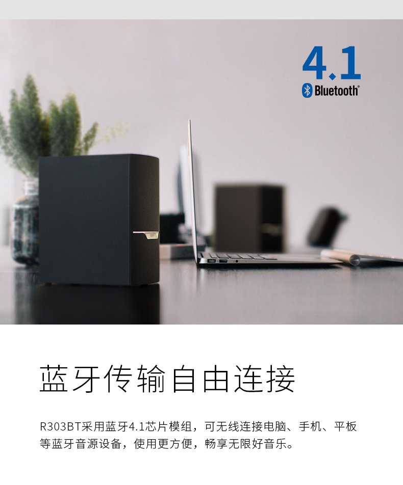 R303BT-FM  藍牙 38w    U盤/可拓展SD