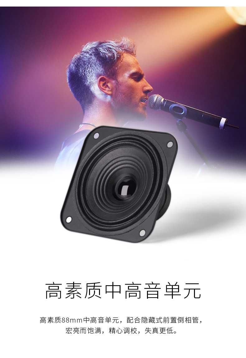 R303BT-FM  藍牙 38w    U盤/可拓展SD